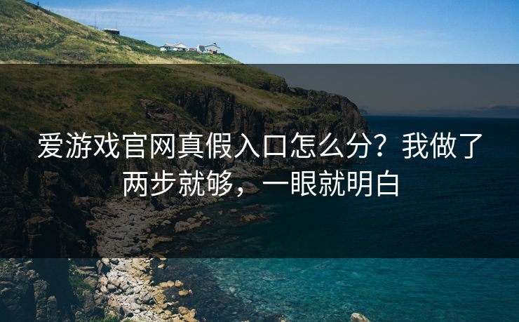 爱游戏官网真假入口怎么分？我做了两步就够，一眼就明白