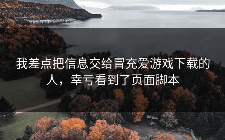 我差点把信息交给冒充爱游戏下载的人，幸亏看到了页面脚本
