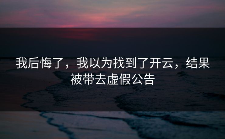 我后悔了，我以为找到了开云，结果被带去虚假公告